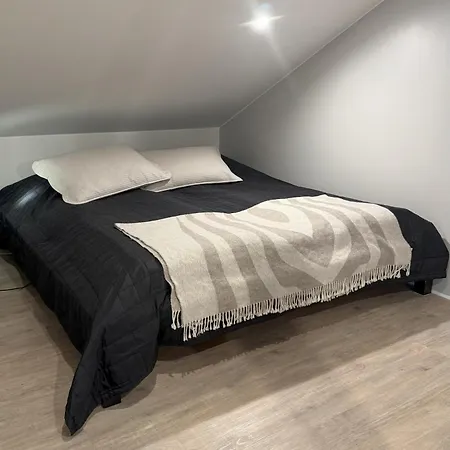 别墅 Aurora Arctic Riverside *