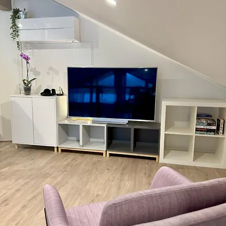 别墅 Aurora Arctic Riverside 罗瓦涅米