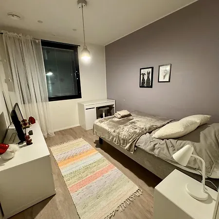 Aurora Arctic Riverside